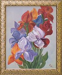 Ирисы