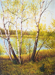Березы