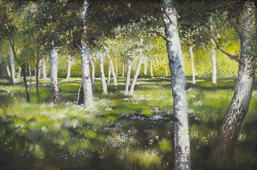 Березы