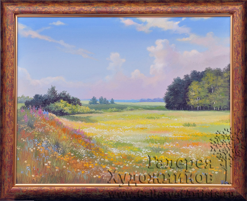 Солнечный луг